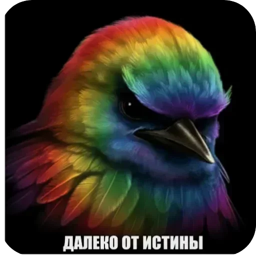 🐦 Стикер «Птички гусь гей» для Telegram