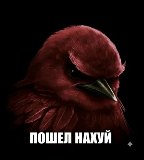 🤩 Стикер «Птички гусь гей» для Telegram