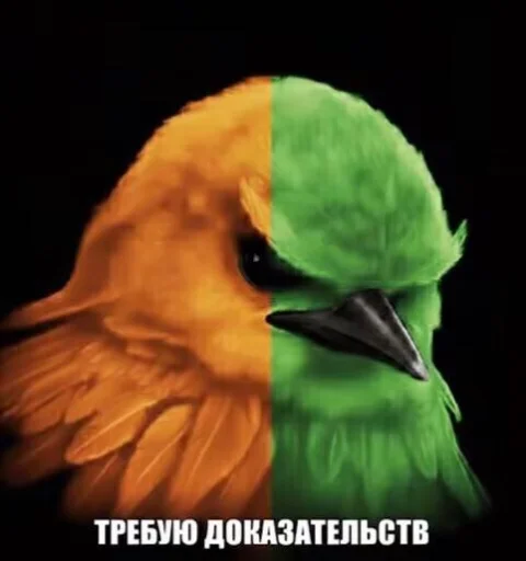 🤩 Стикер «Птички гусь гей» для Telegram