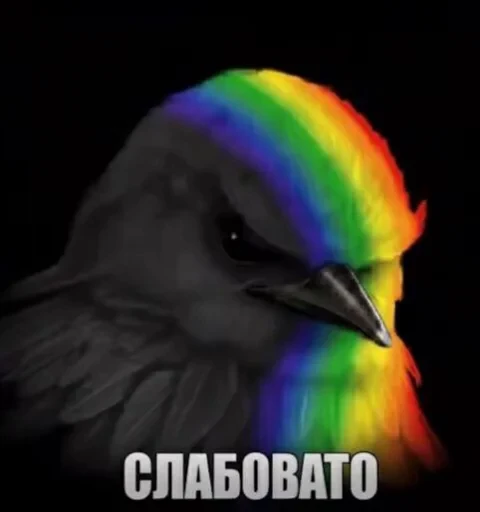 🤩 Стикер «Птички гусь гей» для Telegram