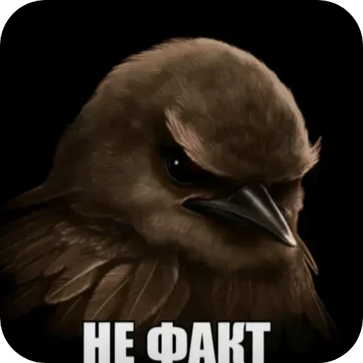🐦 Стикер «Птички гусь гей» для Telegram