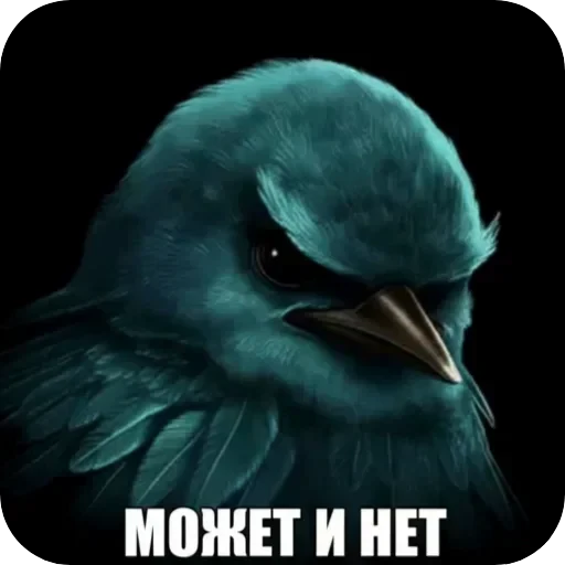 🐦 Стикер «Птички гусь гей» для Telegram