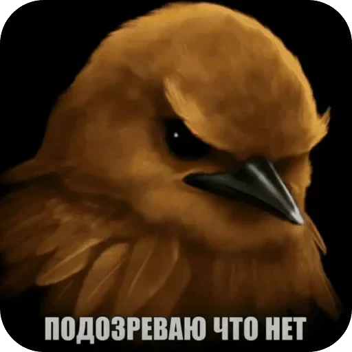 🌟 Стикер «Птички гусь гей» для Telegram