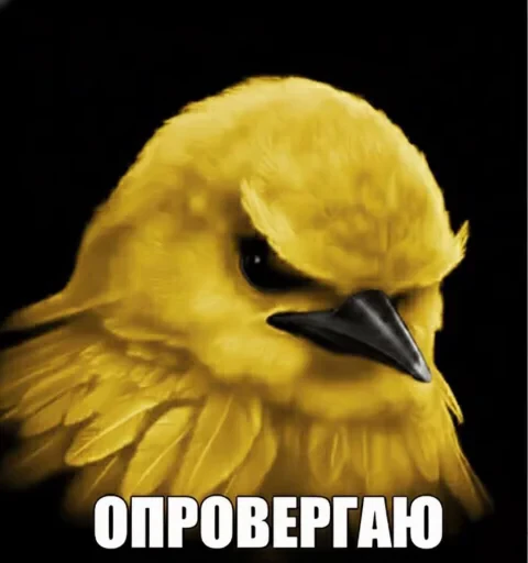 🤩 Стикер «Птички гусь гей» для Telegram