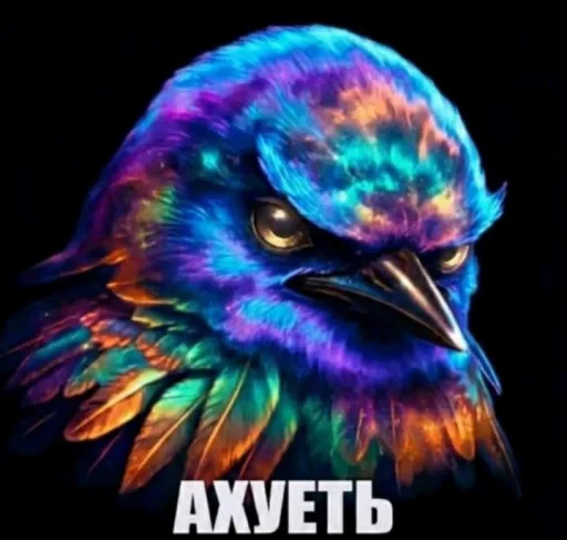 🤩 Стикер «Птички гусь гей» для Telegram