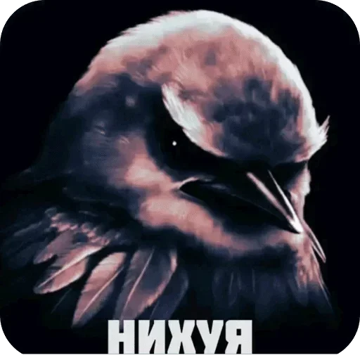 🌟 Стикер «Птички гусь гей» для Telegram
