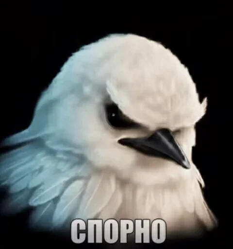 🤩 Стикер «Птички гусь гей» для Telegram