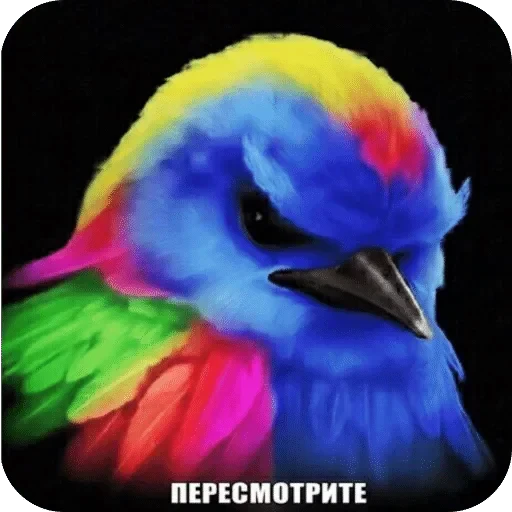 🌟 Стикер «Птички гусь гей» для Telegram