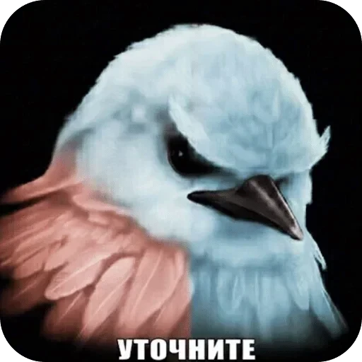 🌟 Стикер «Птички гусь гей» для Telegram