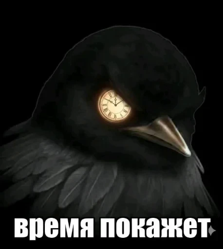 🤩 Стикер «Птички гусь гей» для Telegram