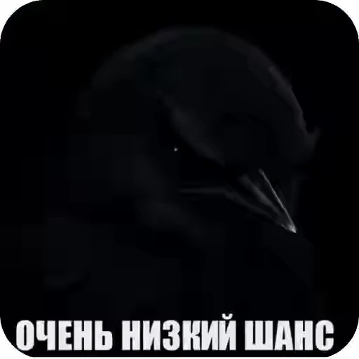 🌟 Стикер «Птички гусь гей» для Telegram