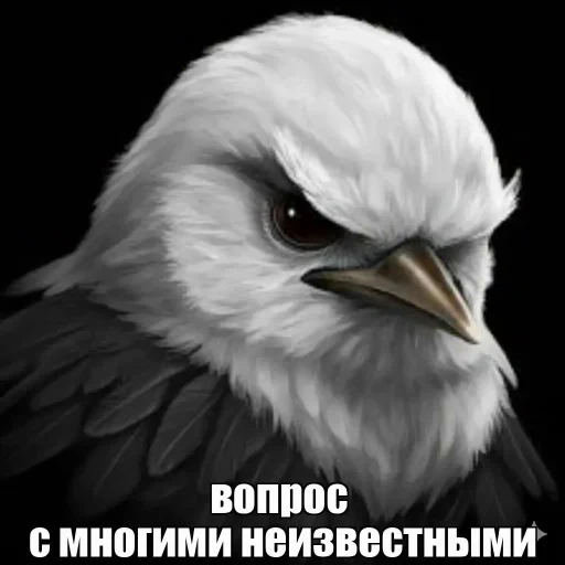 🤩 Стикер «Птички гусь гей» для Telegram