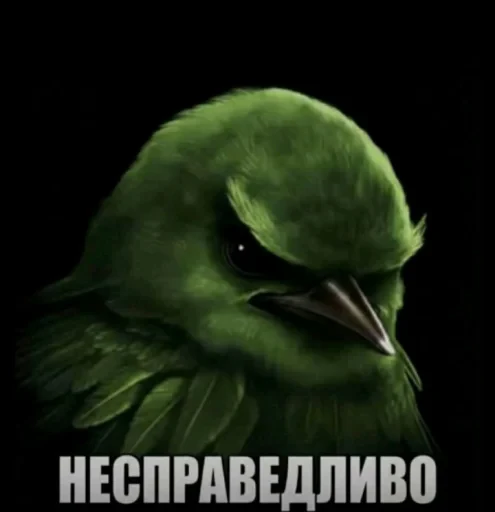 🤩 Стикер «Птички гусь гей» для Telegram