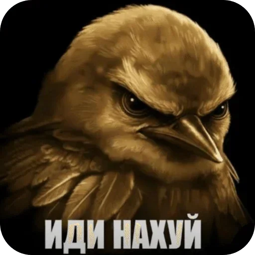 🌟 Стикер «Птички гусь гей» для Telegram