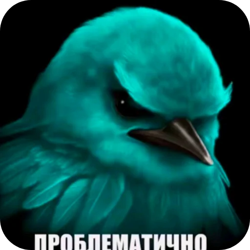 🐦 Стикер «Птички» для Telegram