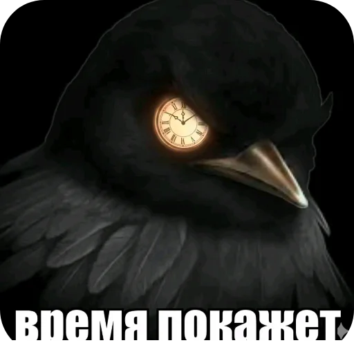 🎩 Стикер «Птички» для Telegram