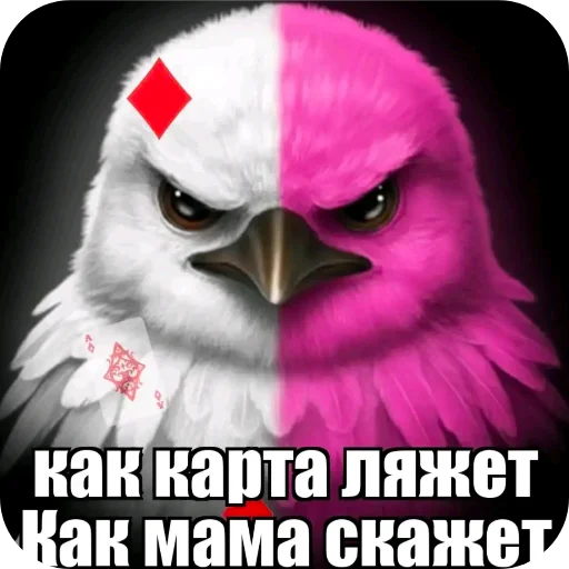 🐦 Стикер «Птички» для Telegram