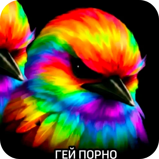 🐦 Стикер «Птички» для Telegram