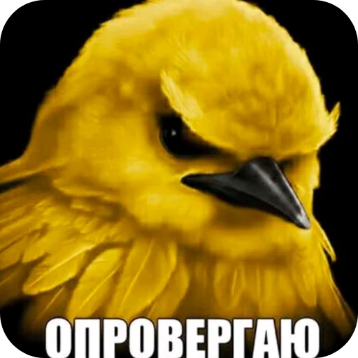 🐦 Стикер «Птички» для Telegram