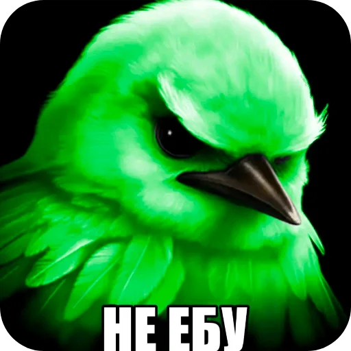 🐦 Стикер «Птички» для Telegram