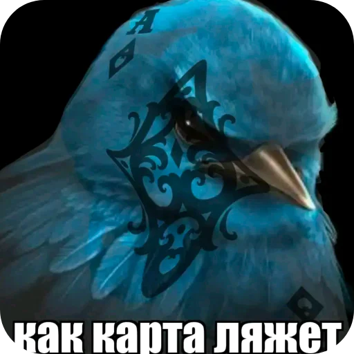 🖼 Стикер «Птички» для Telegram