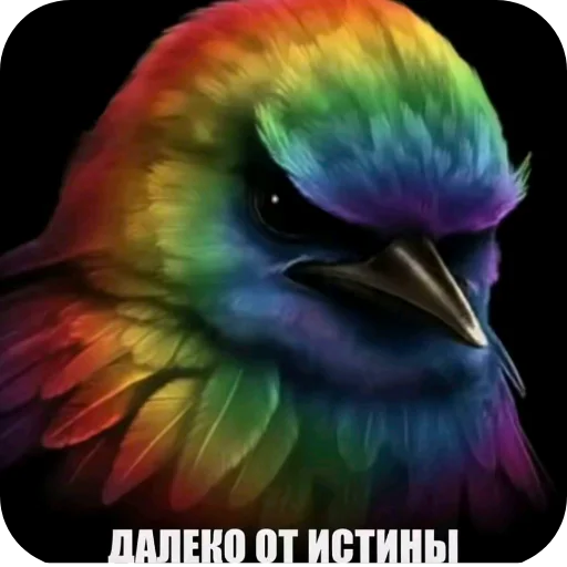 🐦 Стикер «Птички» для Telegram
