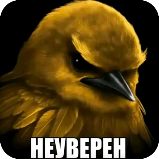 🐦 Стикер «Птички» для Telegram