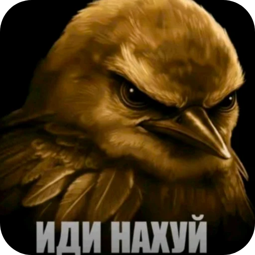 🐦 Стикер «Птички» для Telegram