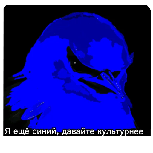 👍 Стикер «Птички» для Telegram