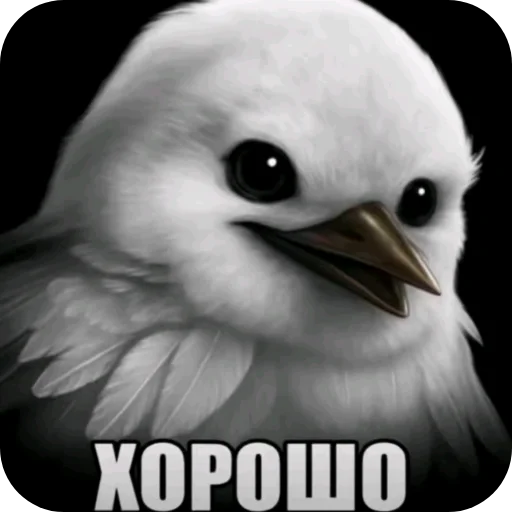 🐦 Стикер «Птички» для Telegram