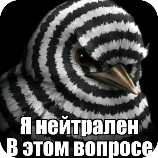 🐦 Стикер «Птички» для Telegram