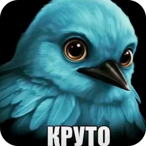 🐦 Стикер «Птички» для Telegram
