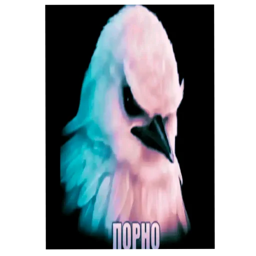 🐦 Стикер «Птички» для Telegram
