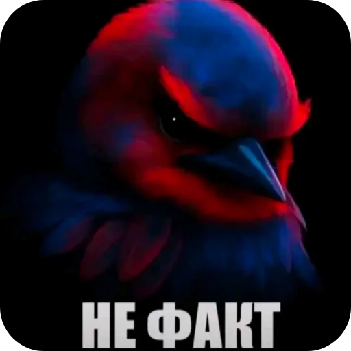 🖼 Стикер «Птички» для Telegram