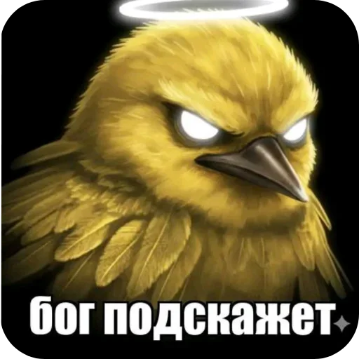 🖼 Стикер «Птички» для Telegram
