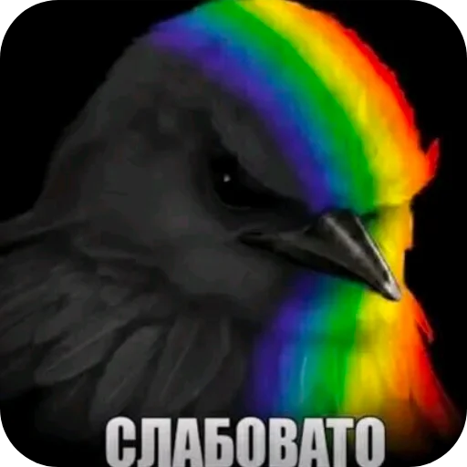 🐦 Стикер «Птички» для Telegram