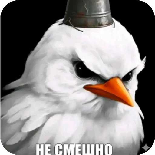🐦 Стикер «Птички» для Telegram