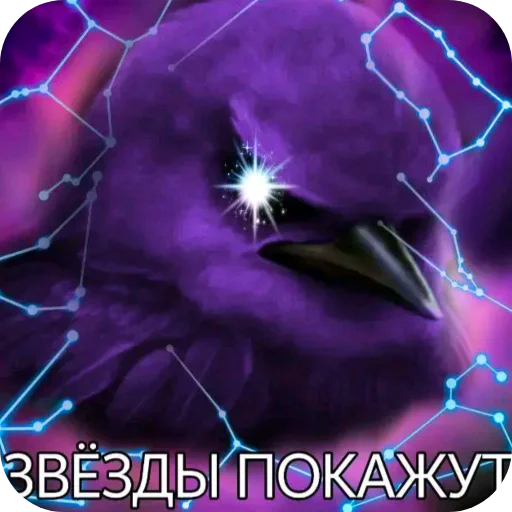 Стикерпак «Птички» для Telegram — обложка