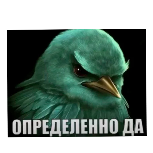 🐦 Стикер «Птички» для Telegram