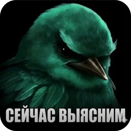 🐦 Стикер «Птички» для Telegram