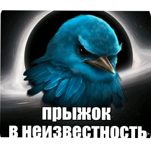 🐦 Стикер «Птички» для Telegram