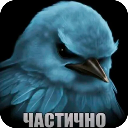 🐦 Стикер «Птички» для Telegram