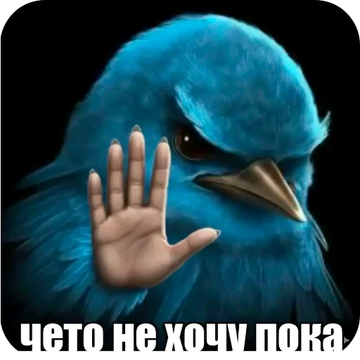 ✋ Стикер «Птички» для Telegram