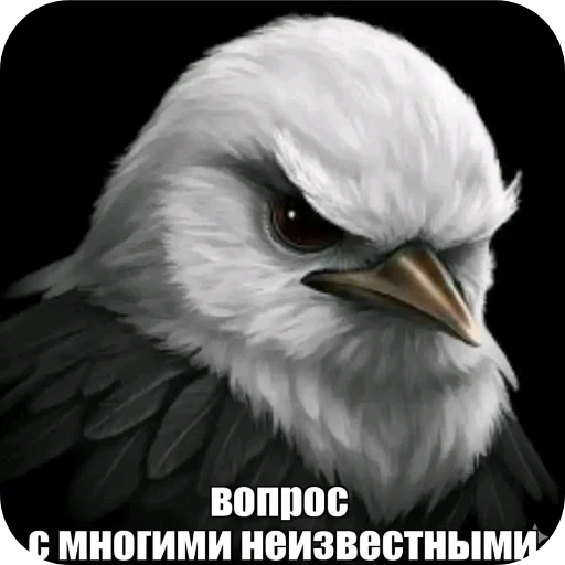 🐦 Стикер «Птички» для Telegram