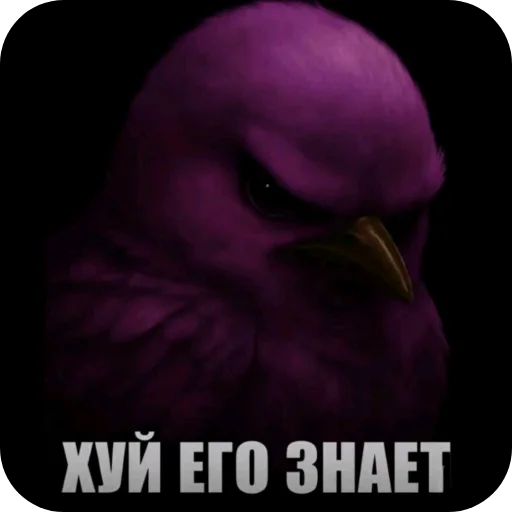 🖼 Стикер «птицы» для Telegram