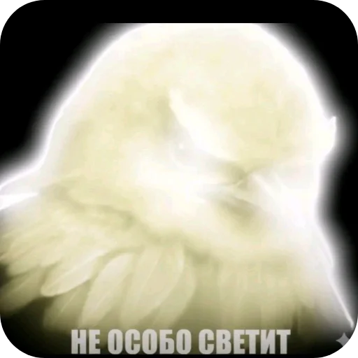 🪐 Стикер «птицы» для Telegram