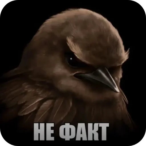 🐦 Стикер «птицы» для Telegram