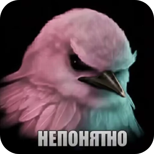 🐦 Стикер «птицы» для Telegram