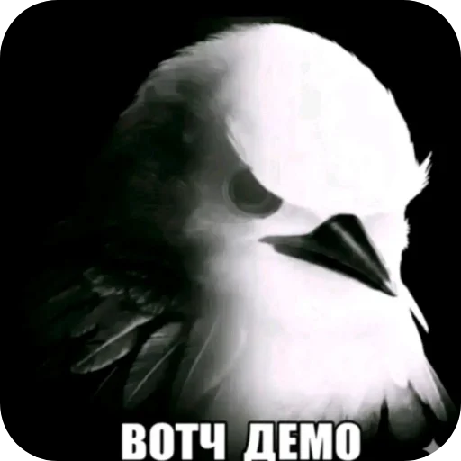 👍 Стикер «птицы» для Telegram