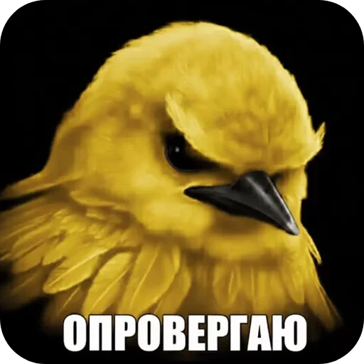 🐦 Стикер «птицы» для Telegram